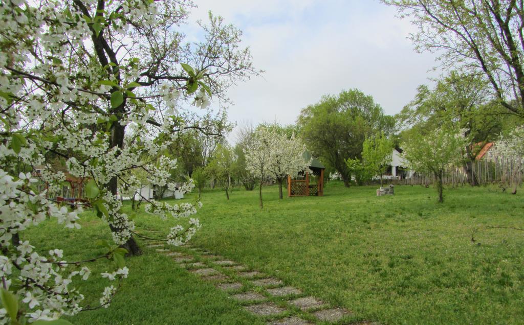 Szigligeti Panorama Apartmanhaz Экстерьер фото